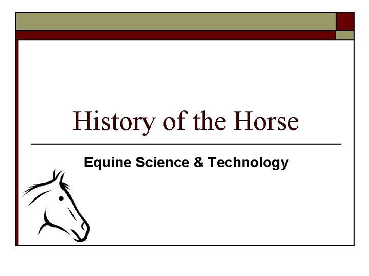 History of the Horse Equine Science & Technology 