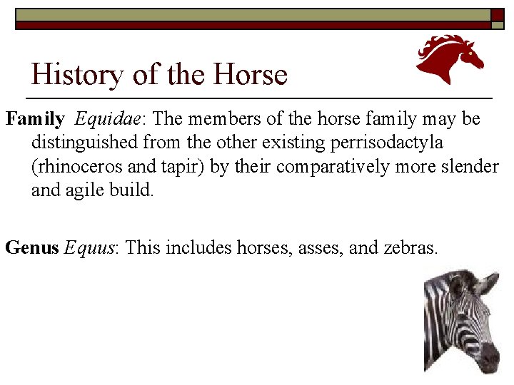 History of the Horse Family Equidae: The members of the horse family may be