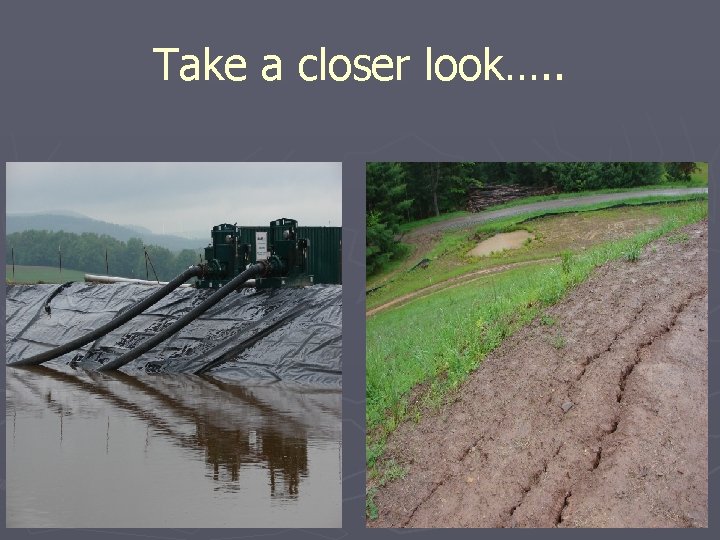 Take a closer look…. . 