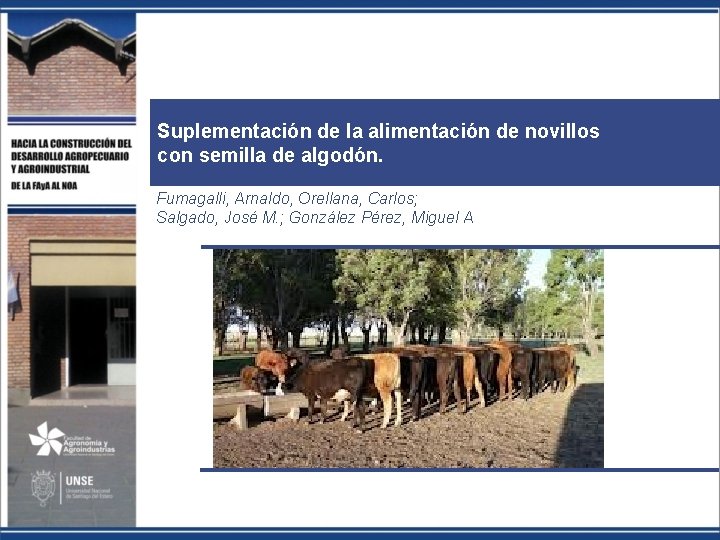 Suplementación de la alimentación de novillos con semilla de algodón. Fumagalli, Arnaldo, Orellana, Carlos;