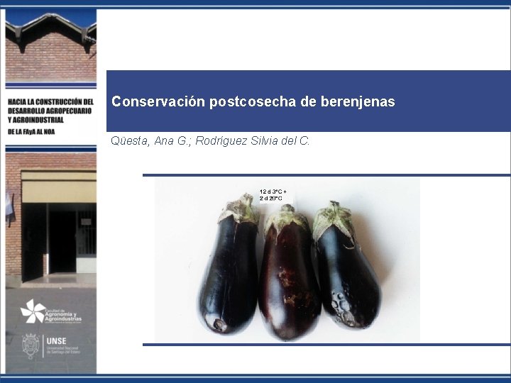 Conservación postcosecha de berenjenas Qüesta, Ana G. ; Rodríguez Silvia del C. 