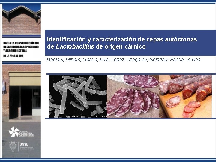 Identificación y caracterización de cepas autóctonas de Lactobacillus de origen cárnico Nediani, Miriam; García,