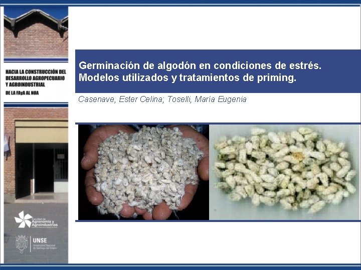 Germinación de algodón en condiciones de estrés. Modelos utilizados y tratamientos de priming. Casenave,