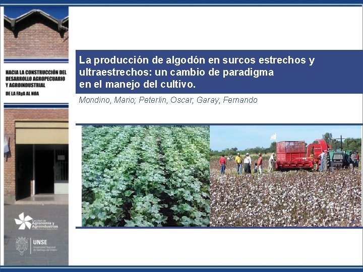 La producción de algodón en surcos estrechos y ultraestrechos: un cambio de paradigma en