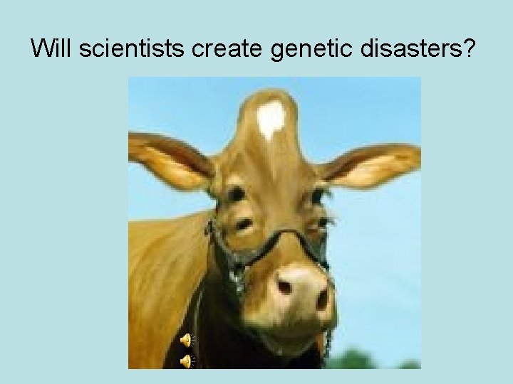 Will scientists create genetic disasters? 