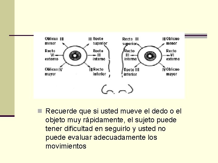 n Recuerde que si usted mueve el dedo o el objeto muy rápidamente, el