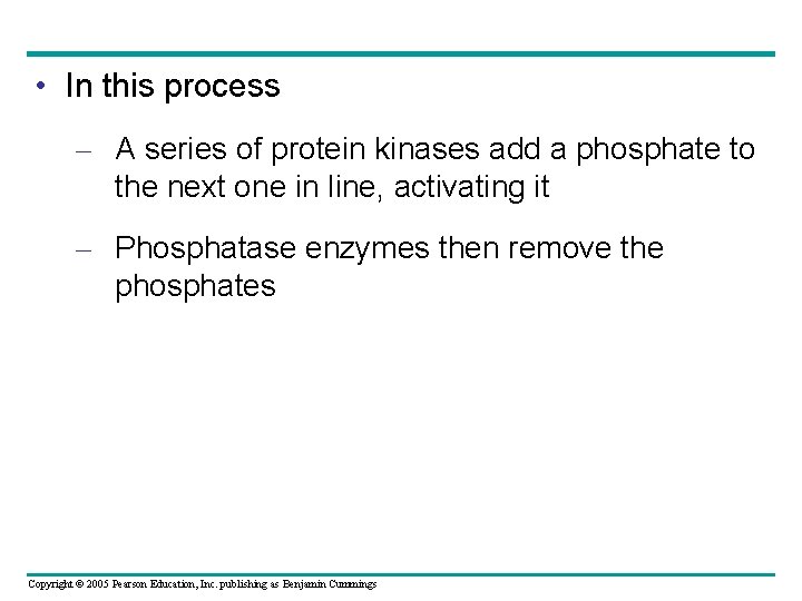  • In this process – A series of protein kinases add a phosphate