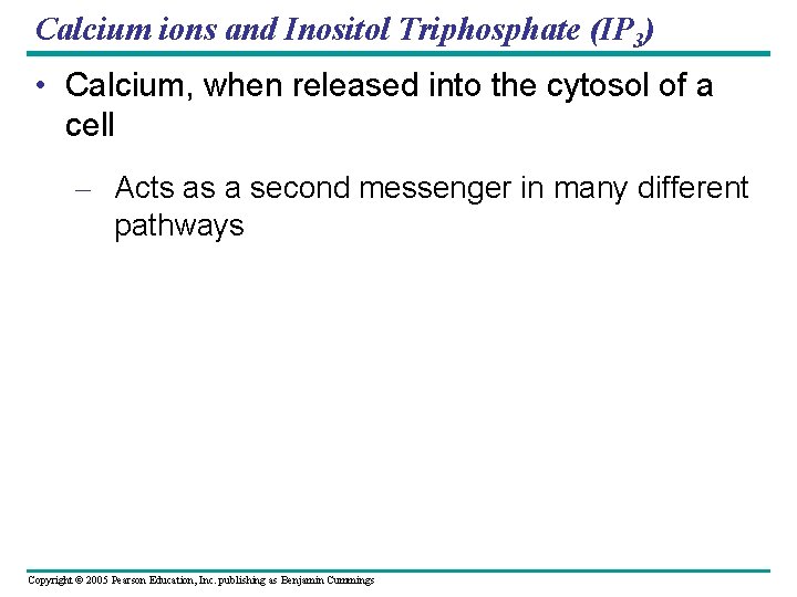 Calcium ions and Inositol Triphosphate (IP 3) • Calcium, when released into the cytosol