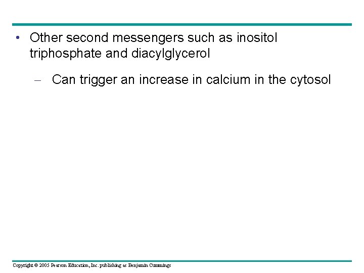  • Other second messengers such as inositol triphosphate and diacylglycerol – Can trigger