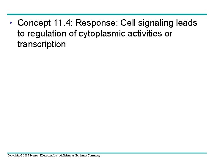  • Concept 11. 4: Response: Cell signaling leads to regulation of cytoplasmic activities