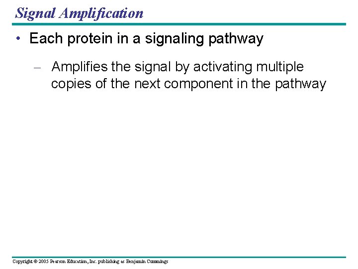 Signal Amplification • Each protein in a signaling pathway – Amplifies the signal by