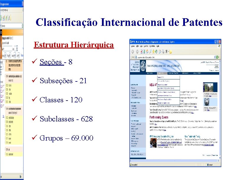 Classificação Internacional de Patentes Estrutura Hierárquica ü Seções - 8 ü Subseções - 21