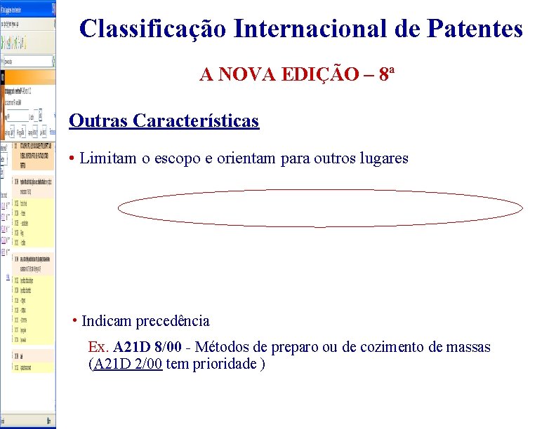 Classificação Internacional de Patentes A NOVA EDIÇÃO – 8ª Outras Características • Limitam o