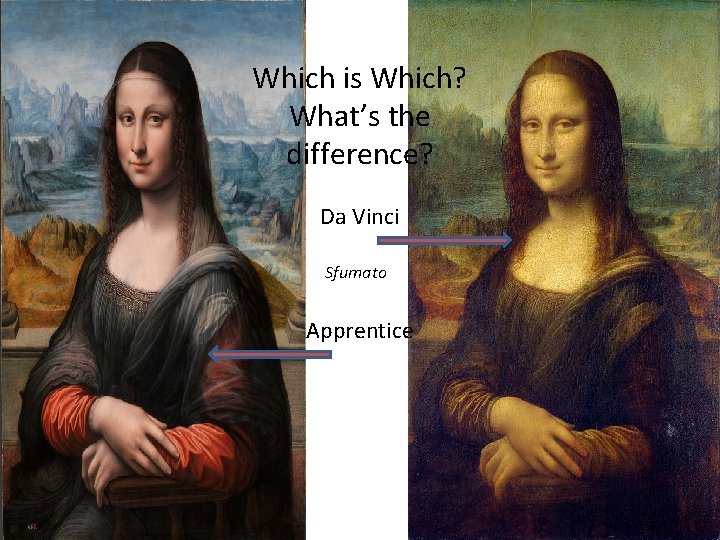 Which is Which? What’s the difference? Da Vinci Sfumato Apprentice 