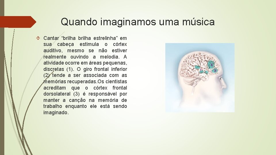 Quando imaginamos uma música Cantar “brilha estrelinha” em sua cabeça estimula o córtex auditivo,