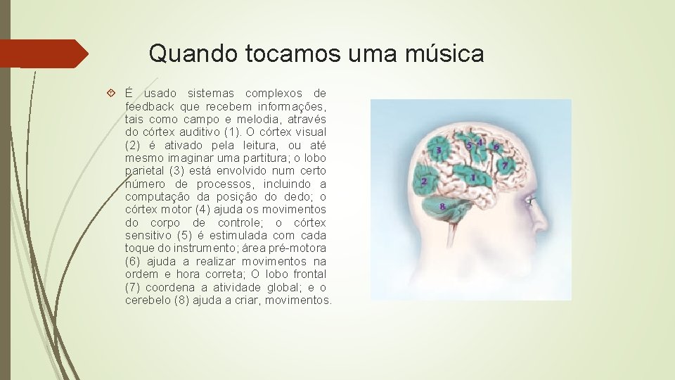 Quando tocamos uma música É usado sistemas complexos de feedback que recebem informações, tais