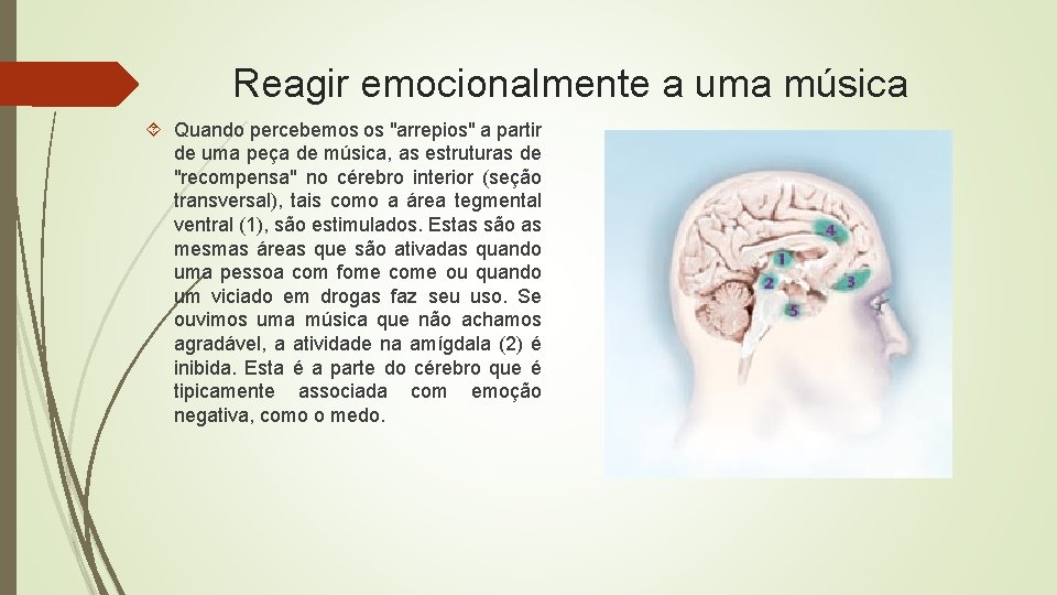 Reagir emocionalmente a uma música Quando percebemos os "arrepios" a partir de uma peça