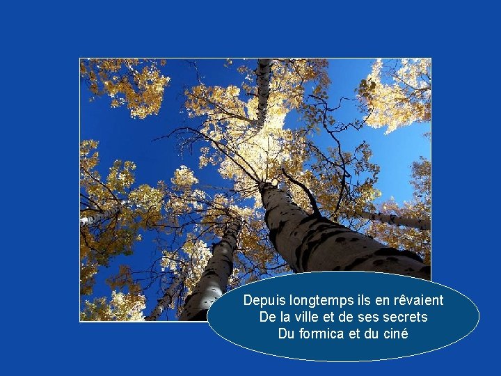 Depuis longtemps ils en rêvaient De la ville et de ses secrets Du formica