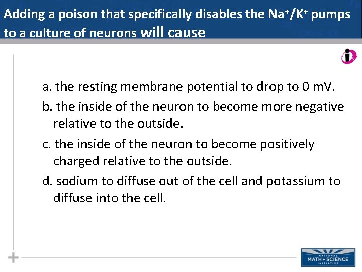 Adding a poison that specifically disables the Na+/K+ pumps to a culture of neurons