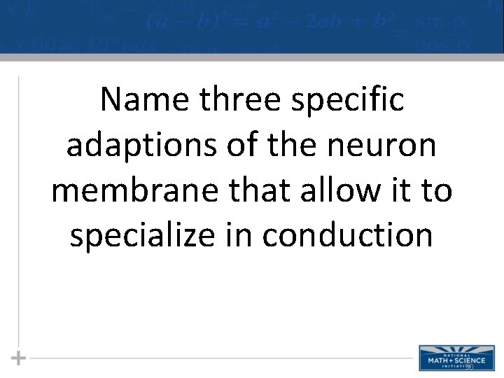 Name three specific adaptions of the neuron membrane that allow it to specialize in