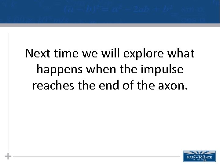 Next time we will explore what happens when the impulse reaches the end of