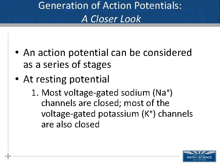 Generation of Action Potentials: A Closer Look • An action potential can be considered