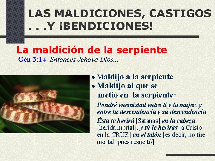 LAS MALDICIONES, CASTIGOS. . . Y ¡BENDICIONES! La maldición de la serpiente Gén 3: