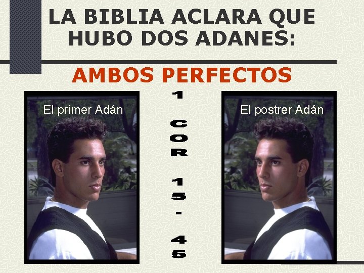 LA BIBLIA ACLARA QUE HUBO DOS ADANES: AMBOS PERFECTOS El primer Adán El postrer