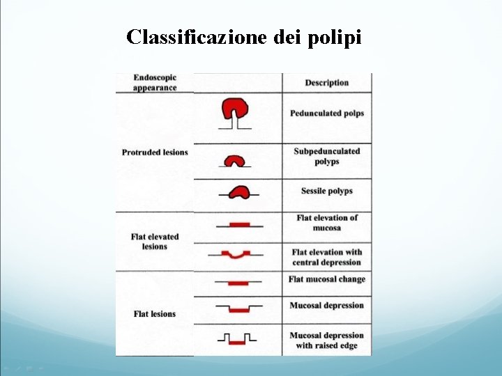 Classificazione dei polipi 