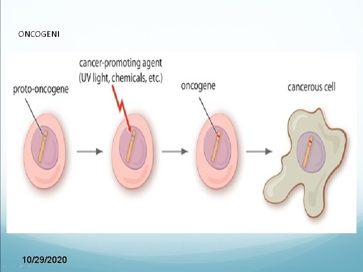 ONCOGENI 10/29/2020 