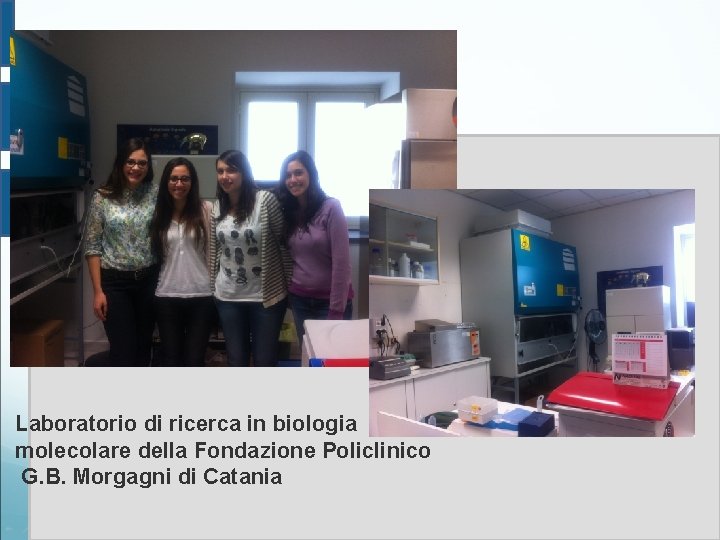 Laboratorio di ricerca in biologia molecolare della Fondazione Policlinico G. B. Morgagni di Catania