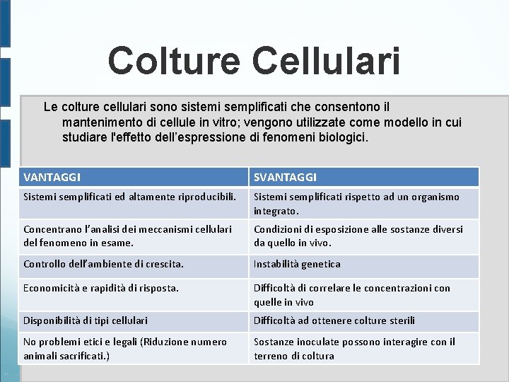 Colture Cellulari Le colture cellulari sono sistemi semplificati che consentono il mantenimento di cellule