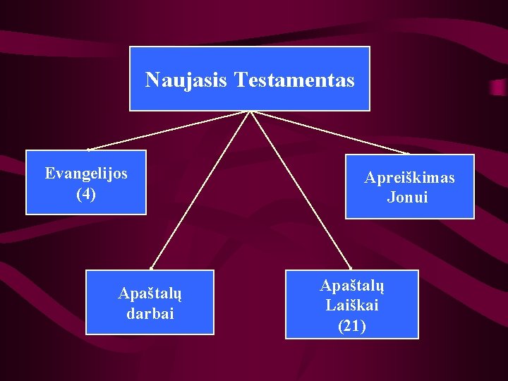 Naujasis Testamentas Evangelijos (4) Apaštalų darbai Apreiškimas Jonui Apaštalų Laiškai (21) 