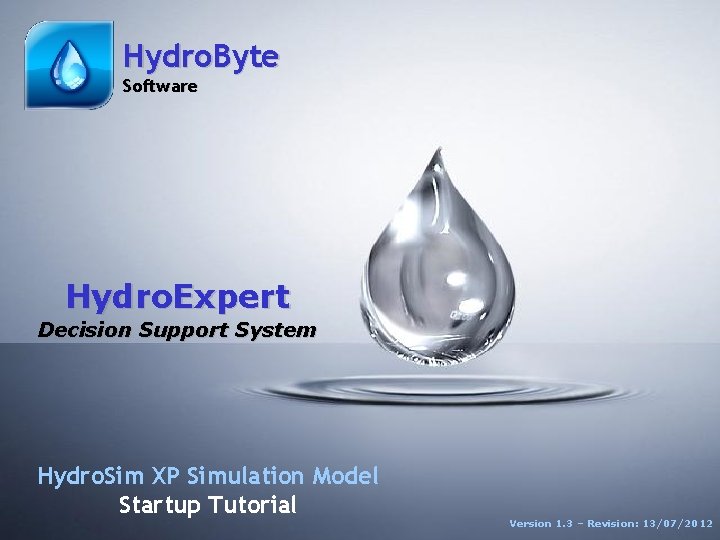 1 Hydro. Byte Software ST Hydro. Expert Version 1. 1 Decision Support System Hydro.