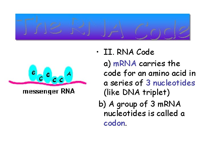 I How do chromosomes lead to specific traits