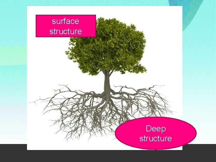 surface structure Deep structure 