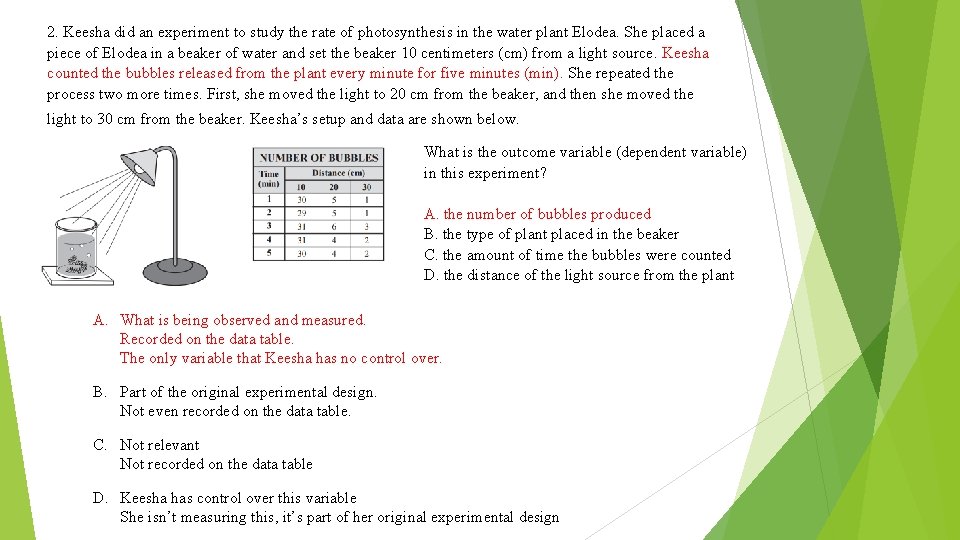 2. Keesha did an experiment to study the rate of photosynthesis in the water