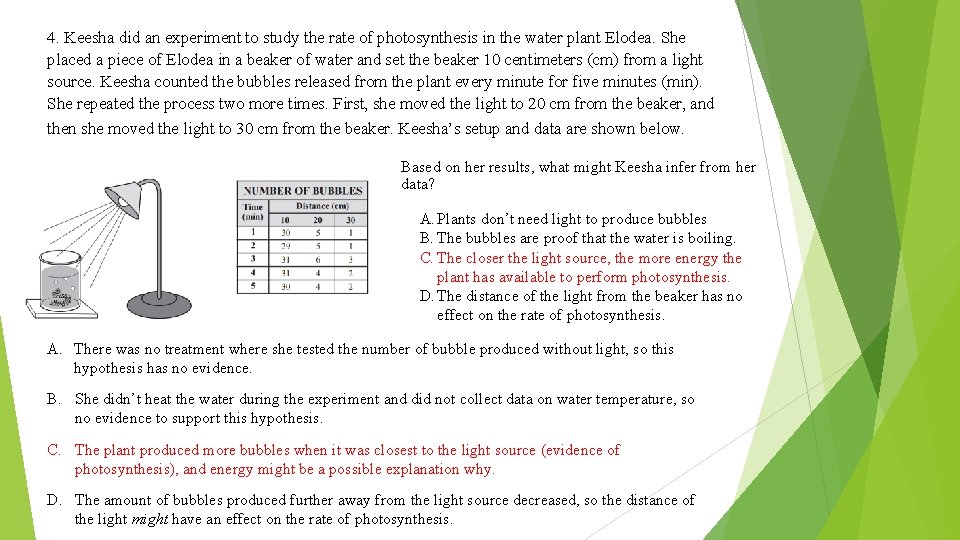 4. Keesha did an experiment to study the rate of photosynthesis in the water