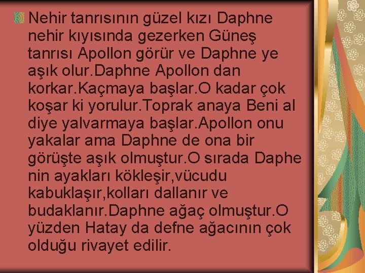 Nehir tanrısının güzel kızı Daphne nehir kıyısında gezerken Güneş tanrısı Apollon görür ve Daphne