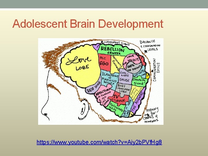 Adolescent Brain Development https: //www. youtube. com/watch? v=Aiy 2 b. PVf. Hg 8 