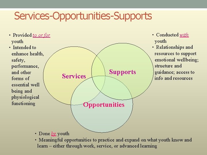 Services-Opportunities-Supports • Provided to or for youth • Intended to enhance health, safety, performance,