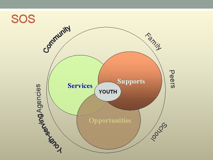 SOS Peers Agencies ily m Fa Services Supports YOUTH ho o l Sc Opportunities