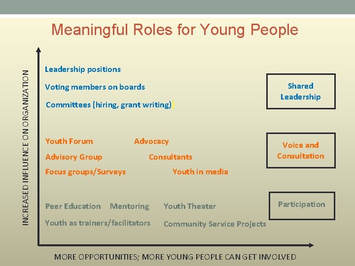 INCREASED INFLUENCE ON ORGANIZATION Meaningful Roles for Young People Leadership positions Voting members on