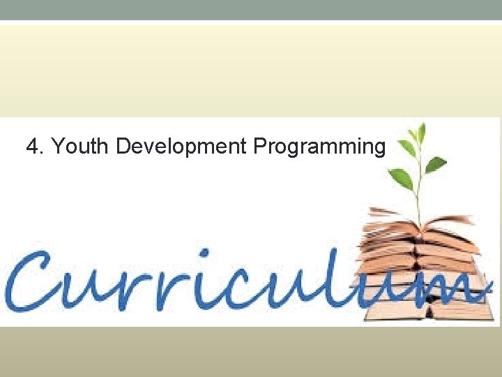 4. Youth Development Programming 