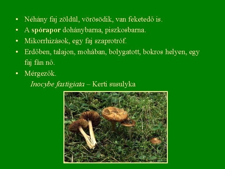  • • Néhány faj zöldül, vörösödik, van feketedő is. A spórapor dohánybarna, piszkosbarna.