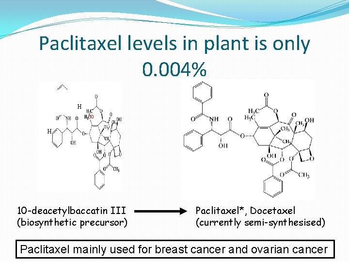 Paclitaxel levels in plant is only 0. 004% H 10 -deacetylbaccatin III (biosynthetic precursor)