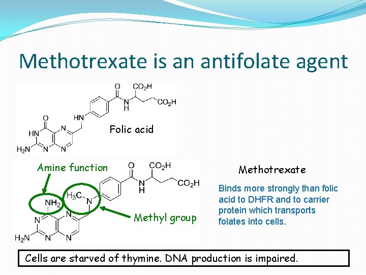 Methotrexate is an antifolate agent Folic acid Amine function Methotrexate Methyl group Binds more