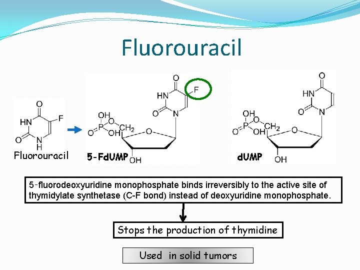 Fluorouracil d. UMP 5 -Fd. UMP 5‑fluorodeoxyuridine monophosphate binds irreversibly to the active site