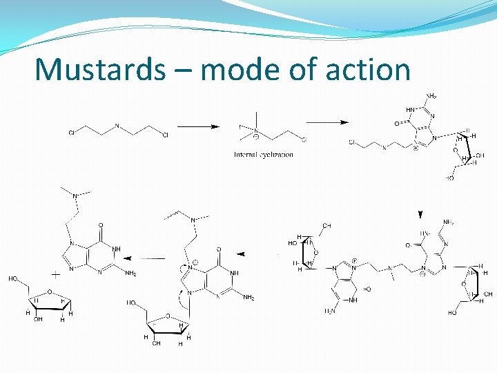 Mustards – mode of action 