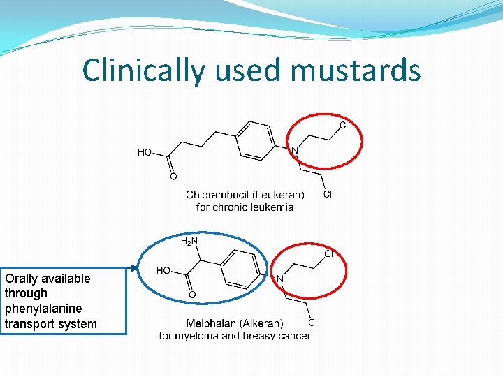 Clinically used mustards Orally available through phenylalanine transport system 